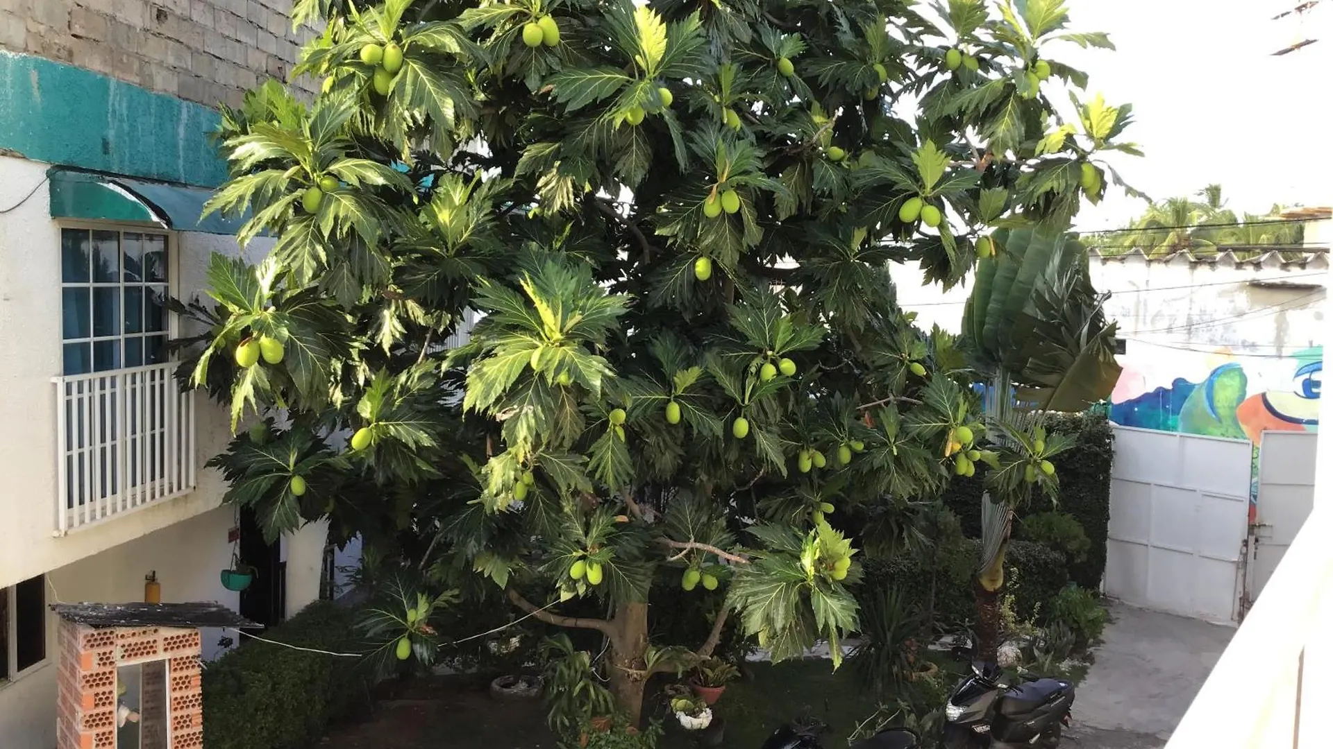 Hosteria Cattleya San Andrés